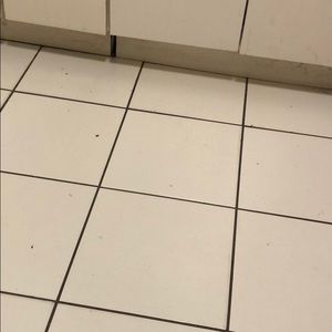 Meet your Posher, Pedro